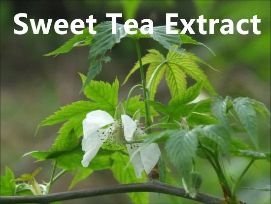 Sweet Tea Extract.png